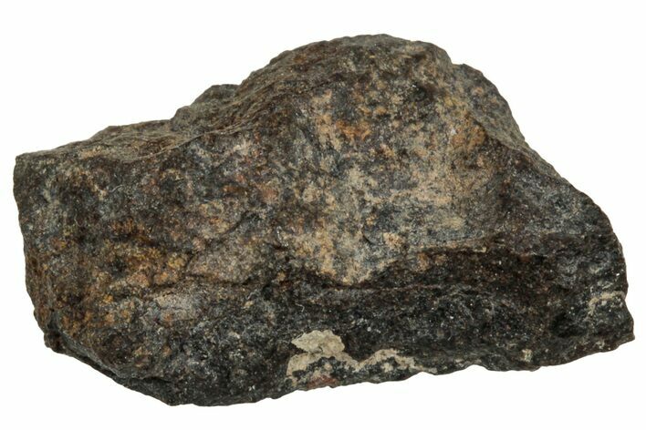 Carbonaceous Chondrite Meteorite ( g) - NWA #313785